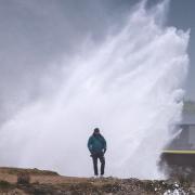 Storm Bert brings torrential rain and high winds to Dorset - updates