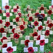 Individually named crosses at Highcliffe. Picture by Sam Sheldon.