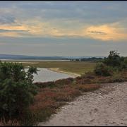 RSPB Arne