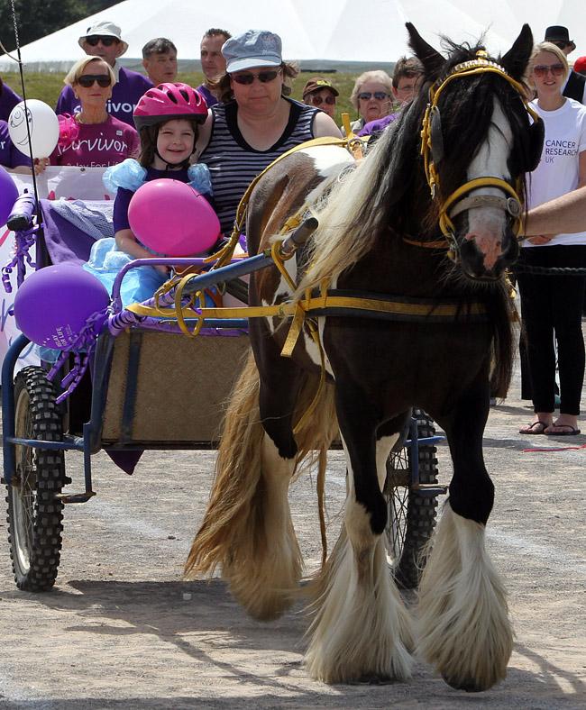 The annual Relay for Life in aid of Cancer Research UK takes place at Ferndown Leisure Centre.