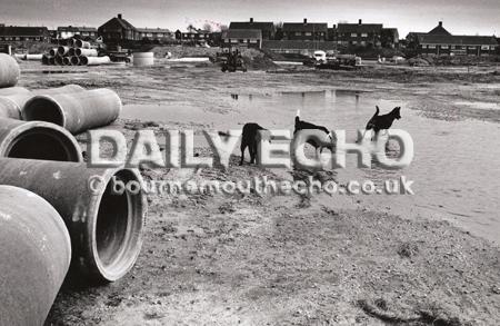 Purewell Meadows housing development in 1989