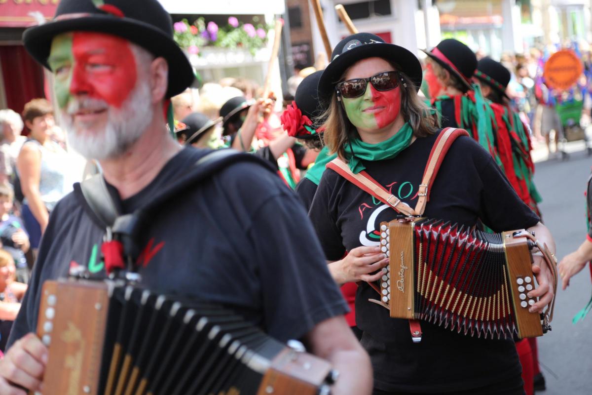 Wimborne Folk Festival 2014