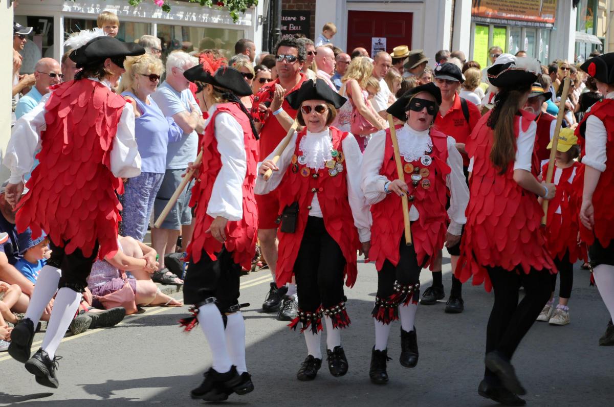 Wimborne Folk Festival 2014