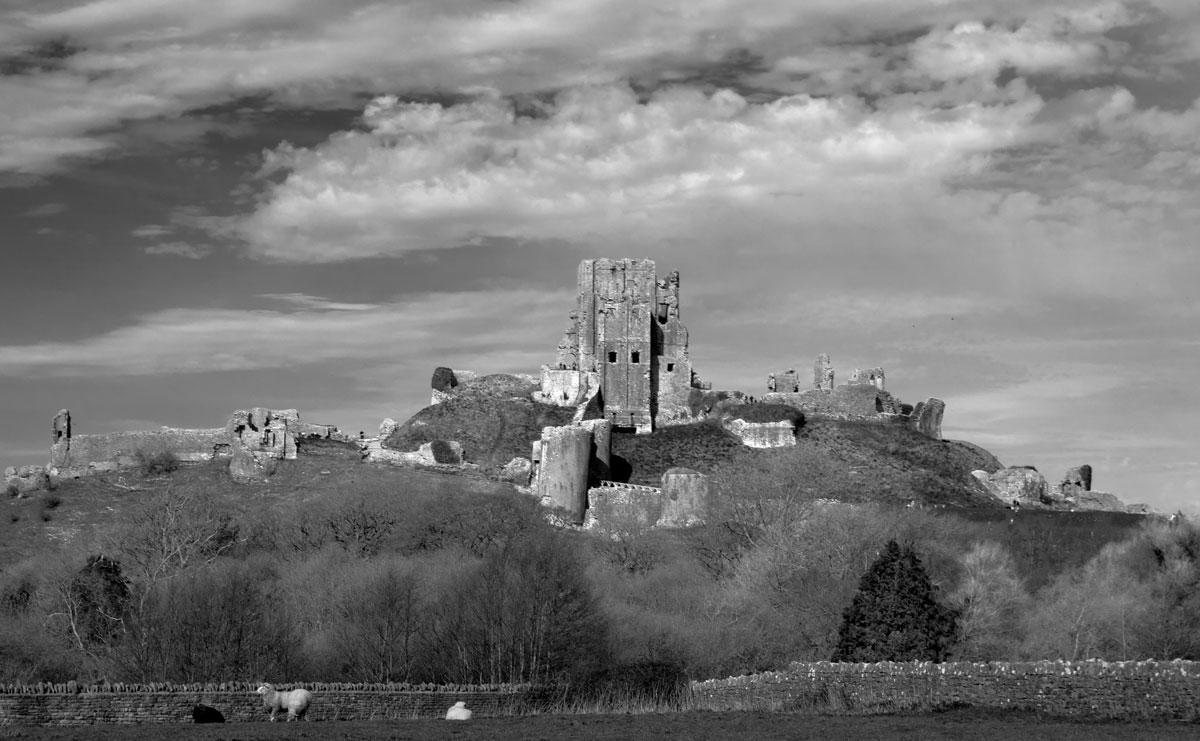 Corfe Castle by Dane Gardner