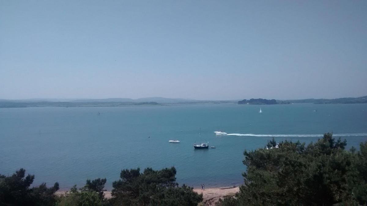 View from the top of Brownsea by Andre Neale
