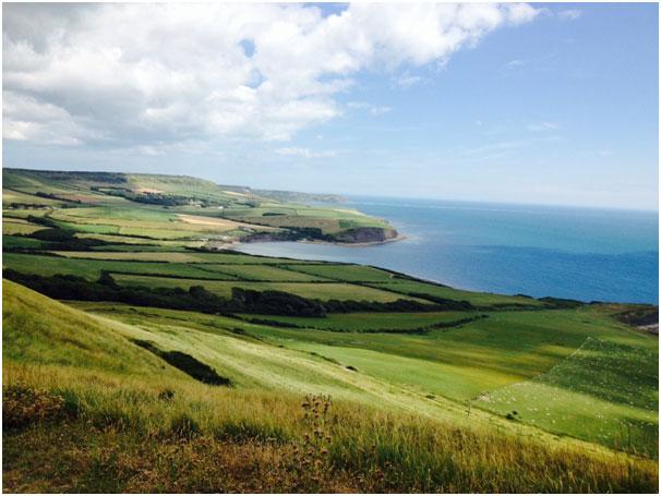 Kimmeridge by Sue Cole
