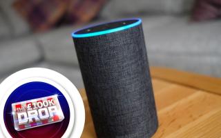 Did you know that you can play games on your Amazon Alexa?