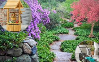 Background - A garden path. Credit: Canva. Circles - (top) Wishing Well Planter and (bottom) a Lawnmower. Credit: Aldi