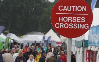 New Forest District Council (NFDC) will focus on climate change awareness at its stand at the New Forest Show this year.