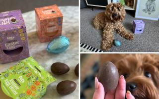 Looking for dog-friendly Easter eggs? These treats from Pets at Home could be the one