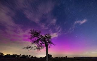 Hang captured the shower at the northern lights in  the New Forest.