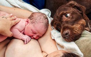 The potentially award-winning photo was taken during a home birth in Bournemouth.