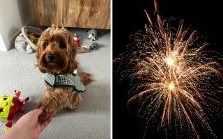 Making a 'comfort corner' for Florence helped to settle her when fireworks went off