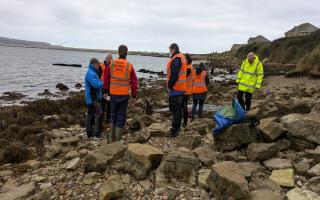 Rare deep sea whale washes up on Dorset beach