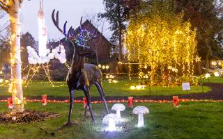 The garden at Woodpeckers in Brockenhurst hosts the home’s festival of lights.     