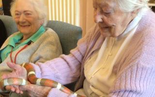 Zetland Court Care Home in Bournemouth enjoyed a friendly visit from a number of exotic animals including a milk snake and albino ferret.