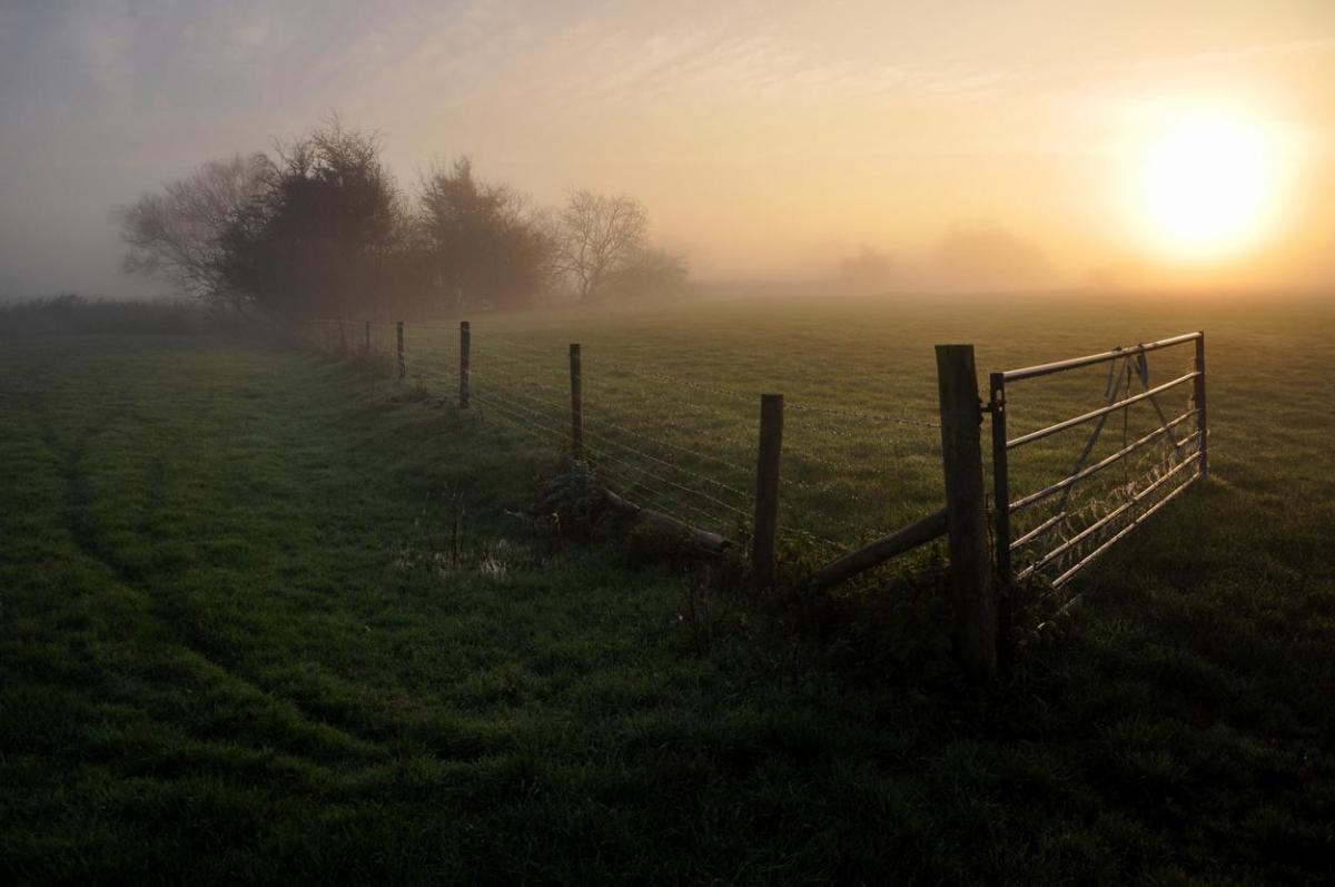 Winter mist sunrise  near Wimborne taken by Helen Arnold.